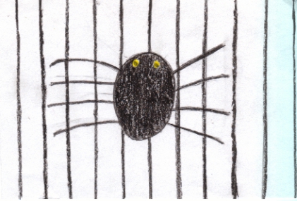 Boxcar Children Black Widow Spider Mystery