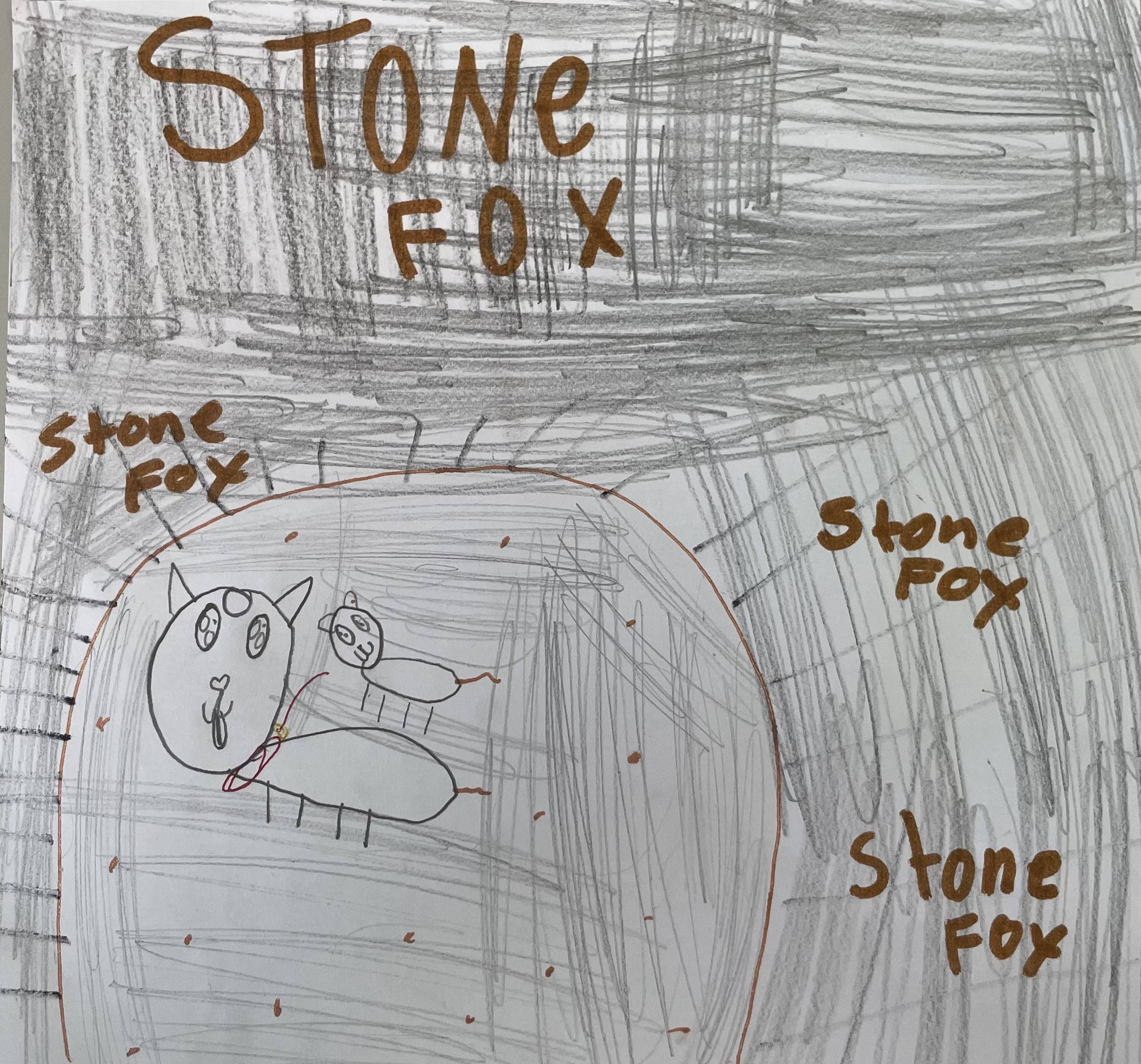 Stone Fox